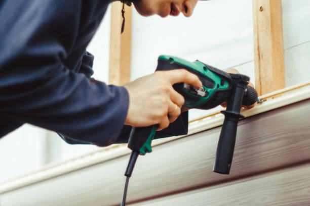 Best Aluminum Siding Installation  in Laurium, MI
